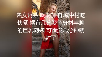 熟女阿姨 啊啊加油 城中村吃快餐 操有几分姿色身材丰腴的巨乳阿姨 可惜没几分钟就射了