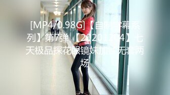 [MP4/790MB]起點傳媒 性視界傳媒 XSJTC07 報複高傲女上司 羽芮(壞壞 林沁兒 芳情)