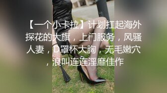 【一个小卡拉】计划扛起海外探花的大旗，上门服务，风骚人妻，D罩杯大胸，无毛嫩穴，浪叫连连淫靡佳作