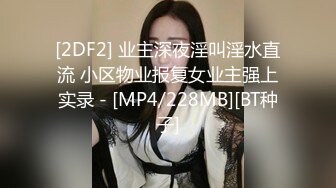 无水印[MP4/542M]11/30 老婆失身车被卖人才两空性爱抽插爆草三招体位高潮VIP1196