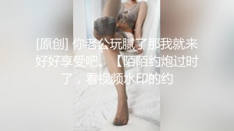 与身着赤兔服渔网袜之02行房事