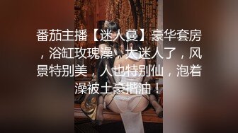 《最新福利重磅VIP精品》假面舞团风骚性感极品身材女模【嘉嘉】顶级会员版~露奶露逼各种丝袜透视劲曲摇摆挑逗~可撸