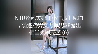 《极品女神☀️反差泄密》OnlyFans顶级翘臀无毛粉笔浪漫主义美女【阿芙罗狄蒂】私拍，各种户外露出野战啪啪极骚无水印原版 (10)