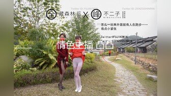 【自制字幕系列】第12弹 探花剪辑版6部，长达个把小时的探花剪辑成两分钟左右的剧情(中文字幕版)！