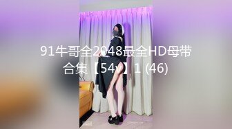 91牛哥全2048最全HD母带合集【54v】1 (46)