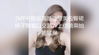 ⚫️⚫️【11月新品福利】国产顶级淫啪组织【公鸡俱乐部】长视频系列，女神【吴芳宜】终于来公鸡玩了