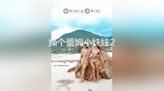 操个蕾姆小妹妹2