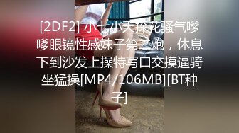 SWAG 和素人同学一起勾引KTV服务生全程交涉中文对话 琳琳