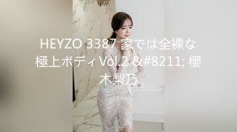 HEYZO 3387 家では全裸な極上ボディVol.2 &#8211; 櫻木梨乃