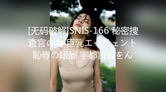 [无码破解]SNIS-166 秘密捜査官の女 巨乳エージェント恥辱の報酬 宇都宮しをん