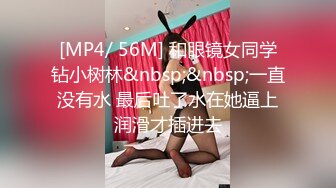 老婆的海豚裤