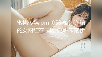 IDG5513 爱豆传媒 強力偉哥征服癡女小姨子 小軒