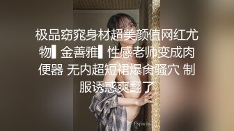 渔网丝袜后入插入