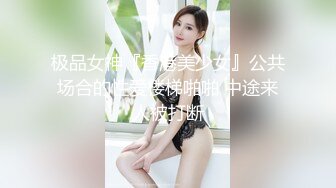 短裙白内透明大翅膀美女