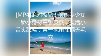 黑丝收藏家的秘密交易 夏禹熙