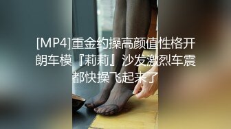 国产麻豆AV MD MD0227 色欲女导游 米亚