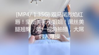 [MP4/ 1.35G] 双马尾烈焰红唇！坚挺美乳小姐姐！黑丝美腿翘臀，第一视角抽插，大屌后入爆操