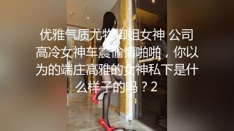 优雅气质尤物御姐女神 公司高冷女神车震偷情啪啪，你以为的端庄高雅的女神私下是什么样子的吗？2