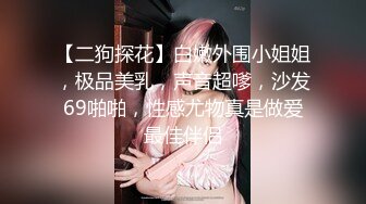 【二狗探花】白嫩外围小姐姐，极品美乳，声音超嗲，沙发69啪啪，性感尤物真是做爱最佳伴侣