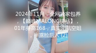 2024年11月，全网独家包养，【巅峰MALONG精品】，01年身高168，真实川航空姐，半露脸后入 (2)