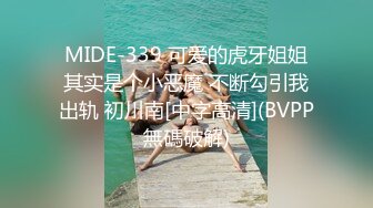 MIDE-339 可爱的虎牙姐姐其实是个小恶魔 不断勾引我出轨 初川南[中字高清](BVPP無碼破解)