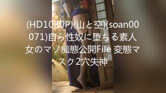 (HD1080P)(山と空)(soan00071)自ら性奴に堕ちる素人女のマゾ痴態公開File 変態マスク2穴失神