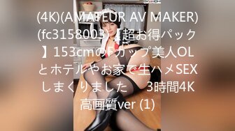 (4K)(AMATEUR AV MAKER)(fc3158003)【超お得パック】153cmのFカップ美人OLとホテルやお家で生ハメSEXしまくりました❤️3時間4K高画質ver (1)