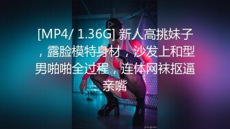 STP17807 性感包臀裙大耳环妹子，舔弄摸逼发生争执没干了