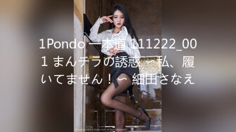 1Pondo 一本道 111222_001 まんチラの誘惑 〜私、履いてません！〜 細田さなえ