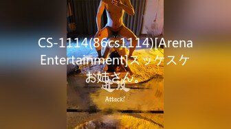 CS-1114(86cs1114)[ArenaEntertainment]スッケスケお姉さん。