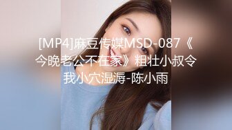 [MP4]麻豆传媒MSD-087《今晚老公不在家》粗壮小叔令我小穴湿溽-陈小雨